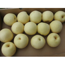 2011 fresh golden pear hot sell